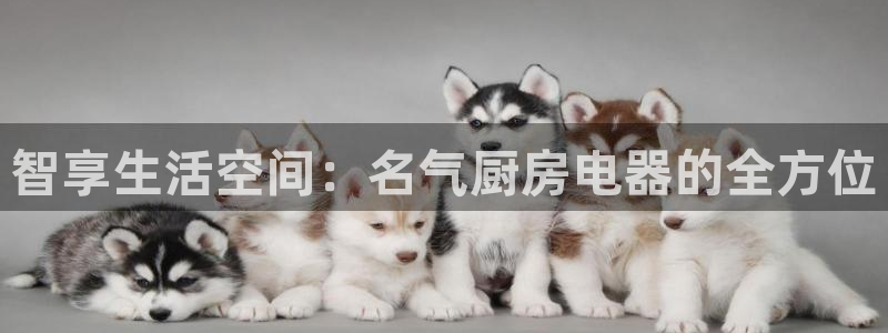 摩登7股东