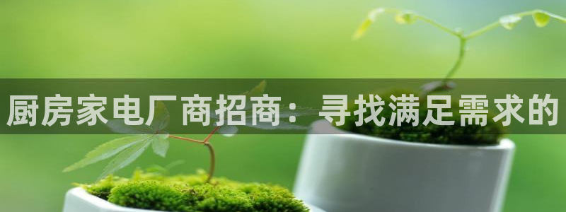 摩登精品7