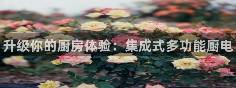 摩登7平台382223