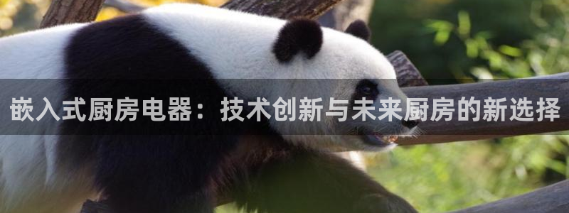 摩登7日7O667