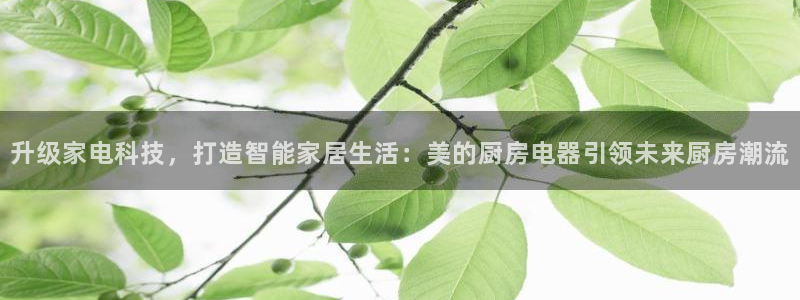 摩登7天3299O7