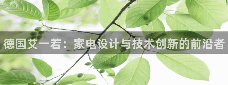 摩登7 平台