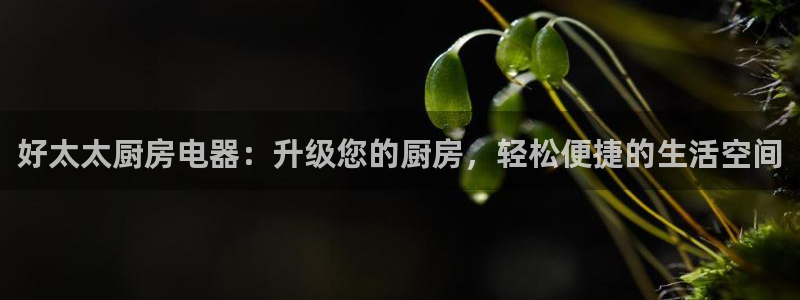 摩登7app官网下载