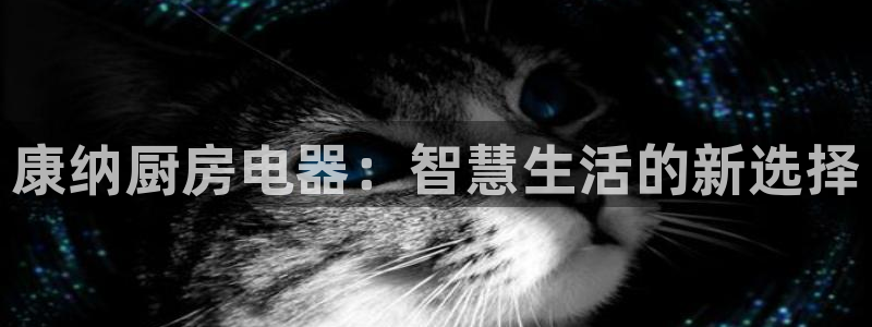 摩登7平台咱7O777